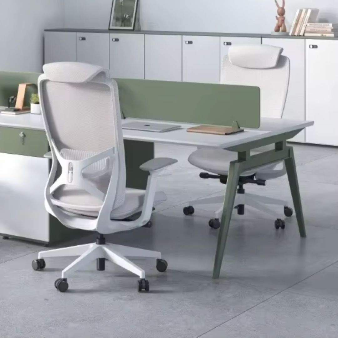 Raha Ergonomic Office Chair (White)