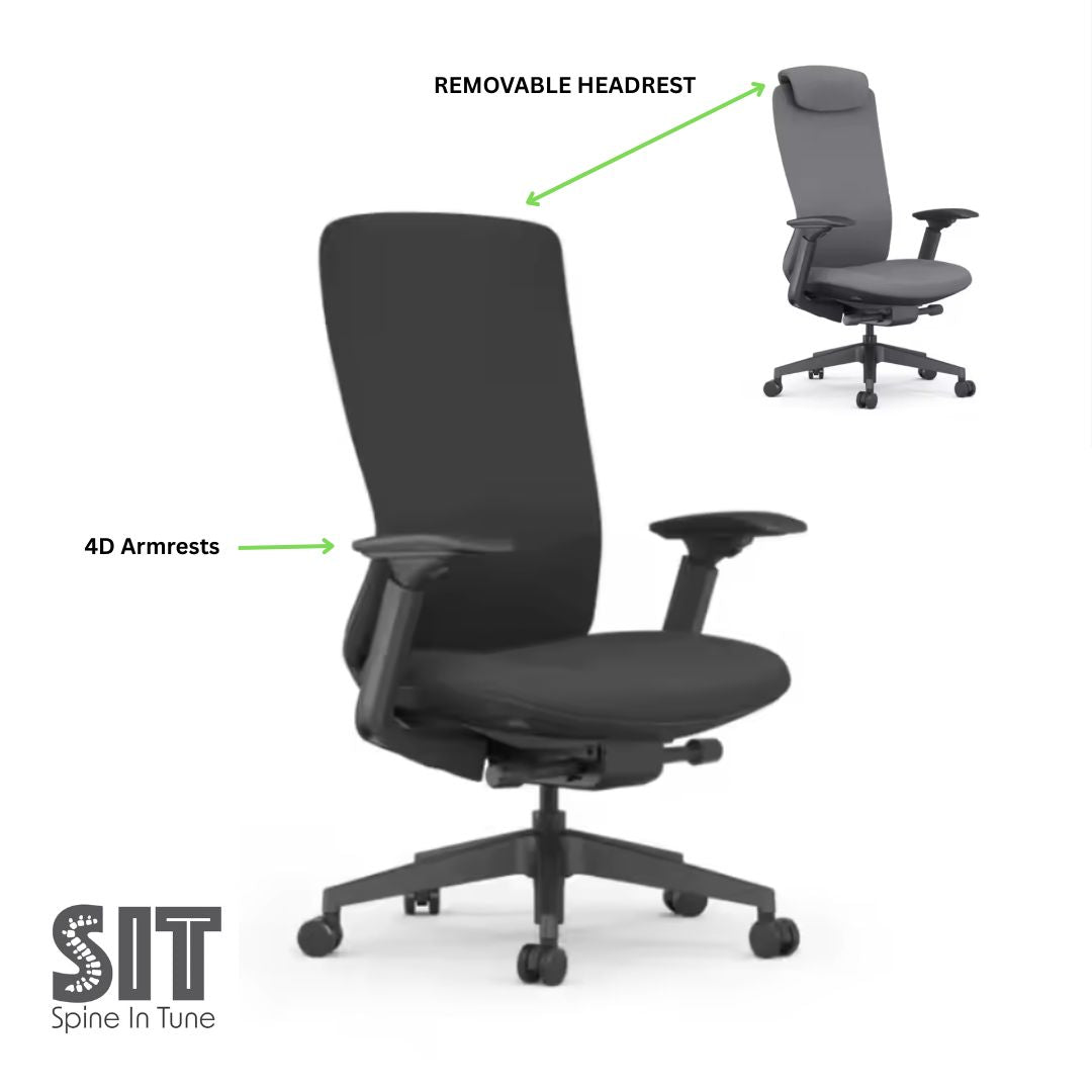 Raha Ergonomic Office Chair