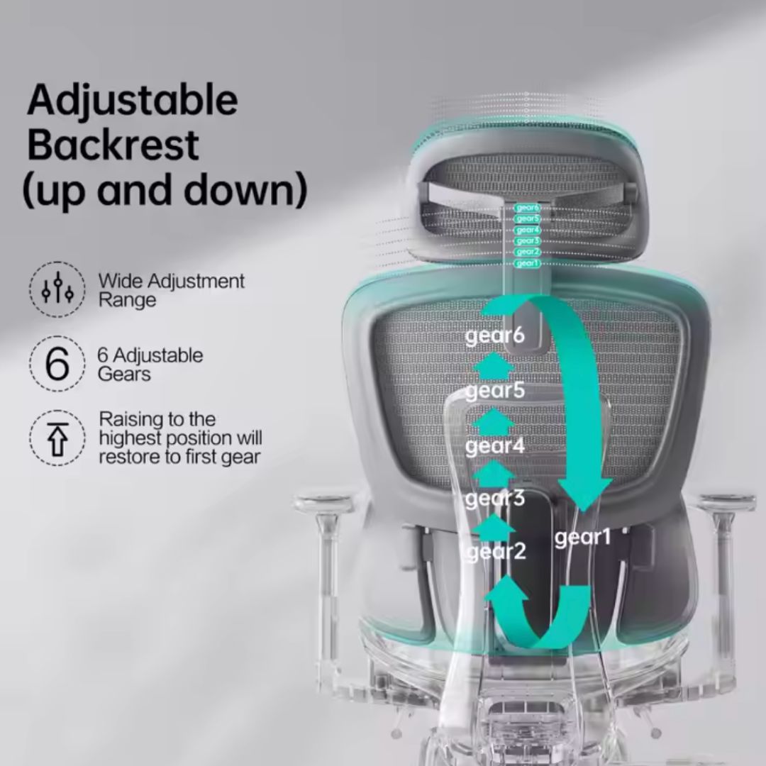 Safa Ergonomic Office Chair (Black)