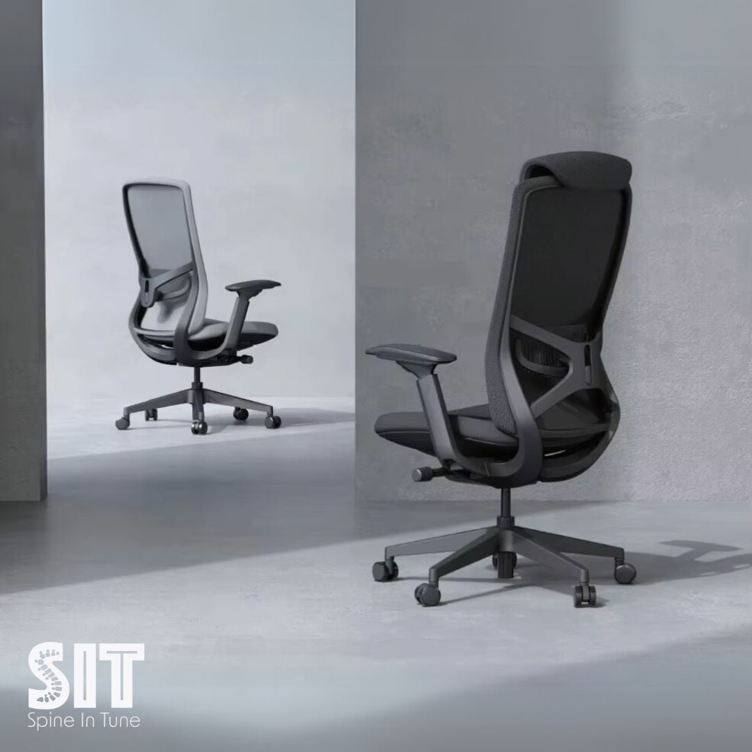 Raha Ergonomic Office Chair