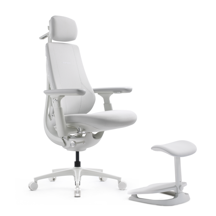LiberNovo Omni Maxis Dynamic Ergonomic Chair