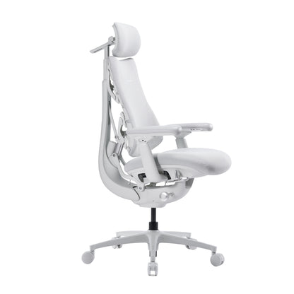 LiberNovo Omni Pro Dynamic Ergonomic Chair