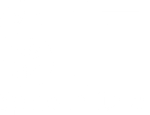 Spine In Tune