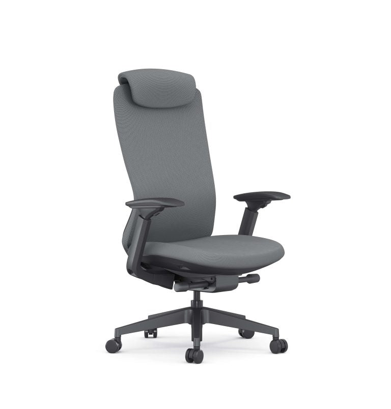 Raha Ergonomic Office Chair