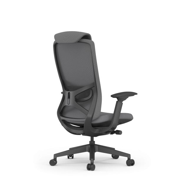 Raha Ergonomic Office Chair