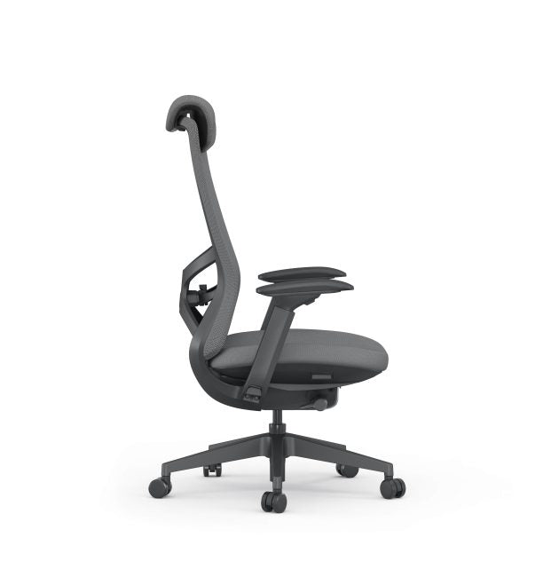 Raha Ergonomic Office Chair