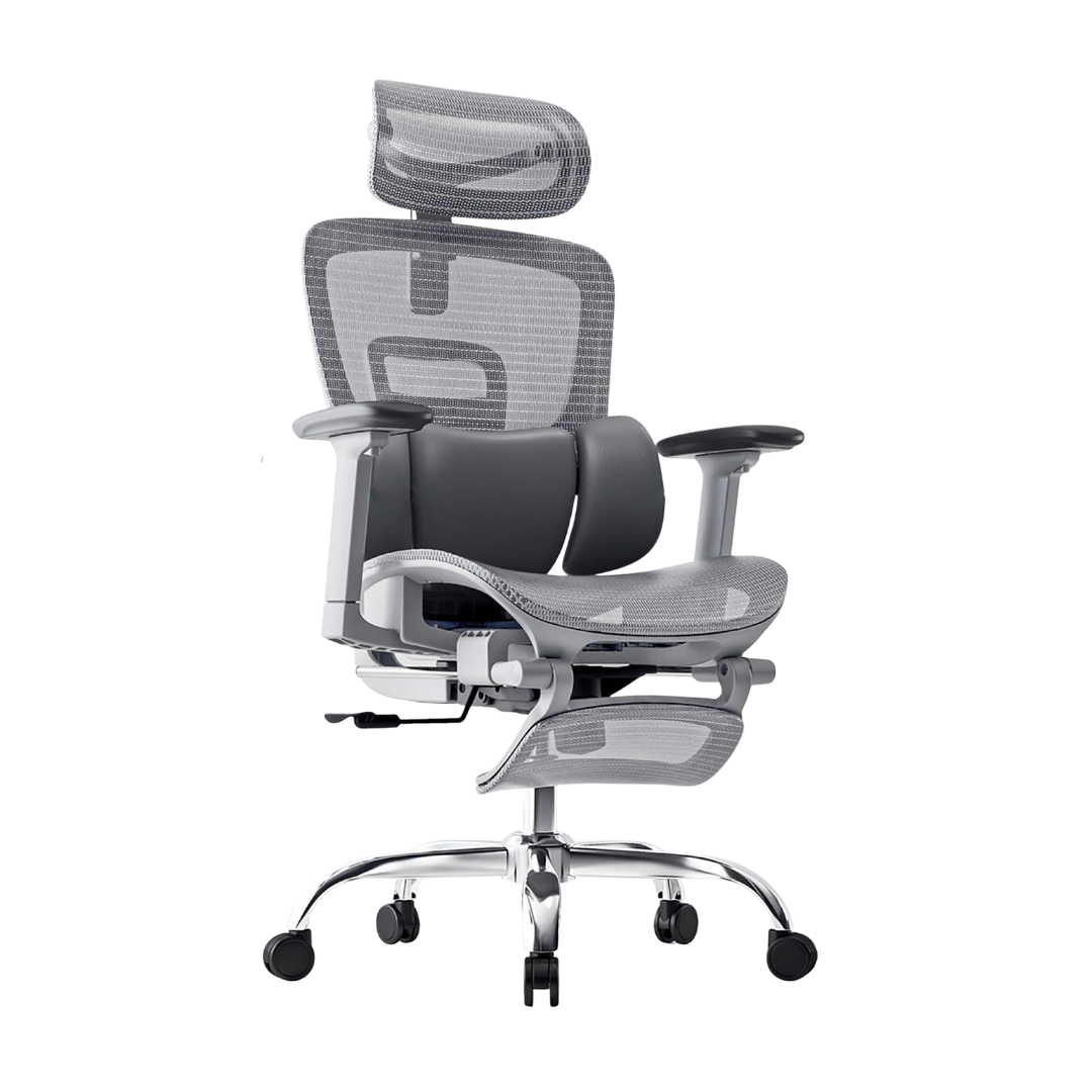 Safa Ergonomic Office Chair (Grey)